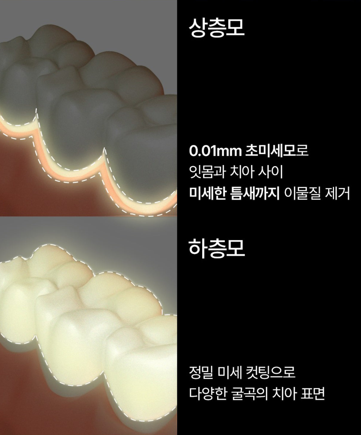 [Hetras] pastel 油漆桶彩色雙層細毛彈性牙刷 (21入)