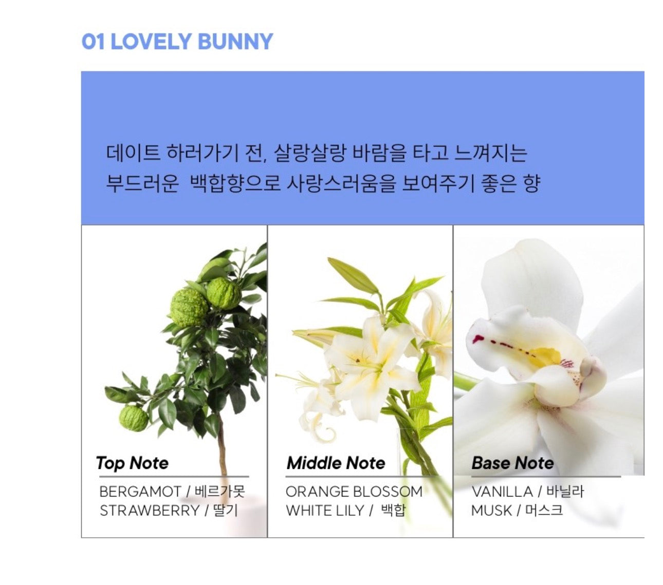 韓國 TONY MOLY 兔子耳朵帽蓋,香水棒膏 9ml (3款)